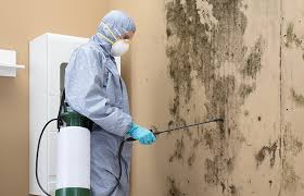 Best Industrial Mold Remediation  in Nicoma Park, OK